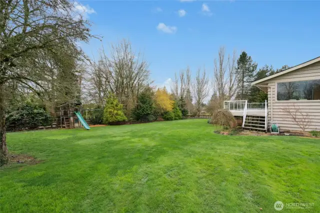 Spectacular level lawn