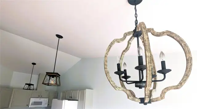 Fun Pendant light fixtures