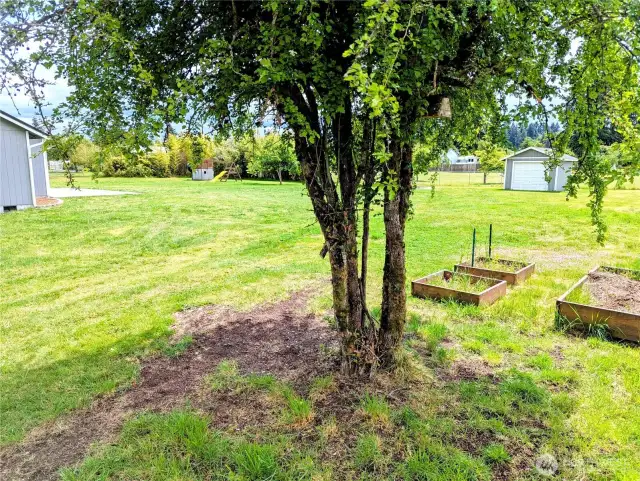 Raised beds
