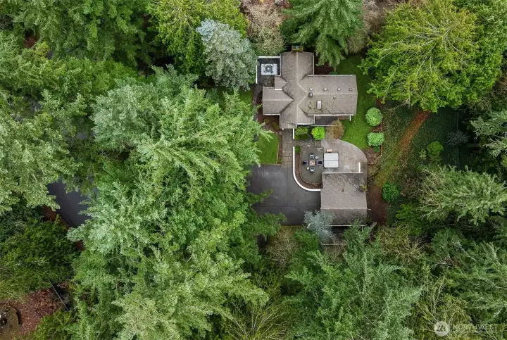 Just over an acre of mostly natural habitat.