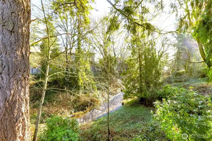 Peaceful Surroundings