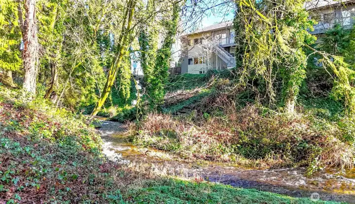 Flett Creek Flowing Along Your Property