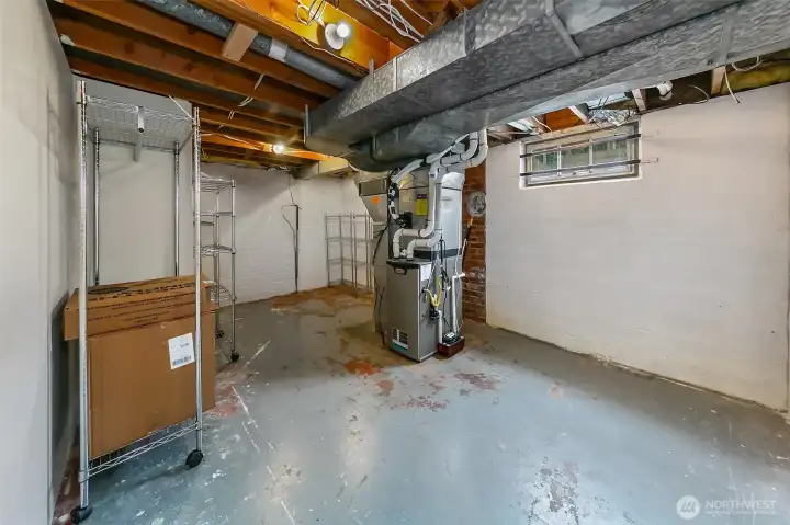 Unfinished storage room in the basement.