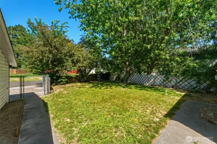 Eastside yard