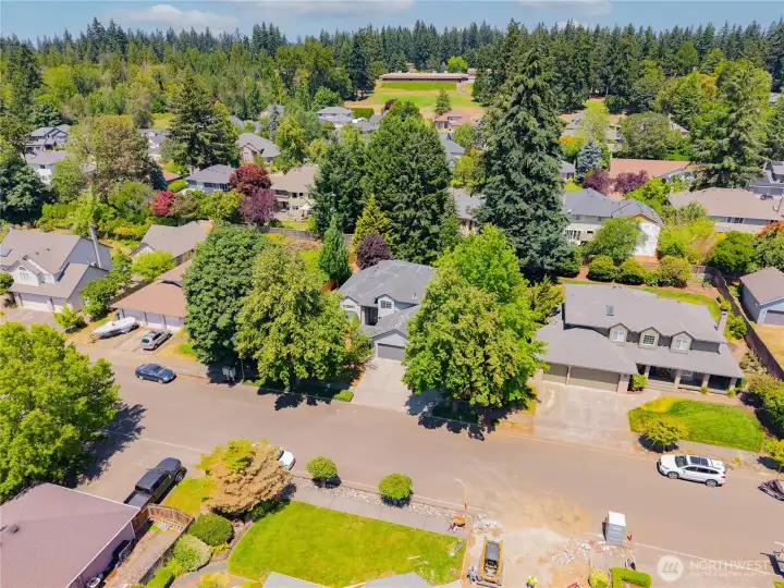 Drone View
