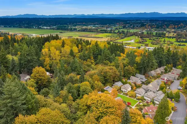 The 25 home Conover Commons community is an oasis overlooking the Cascade mountain range, but minutes away from major Eastside employment centers.