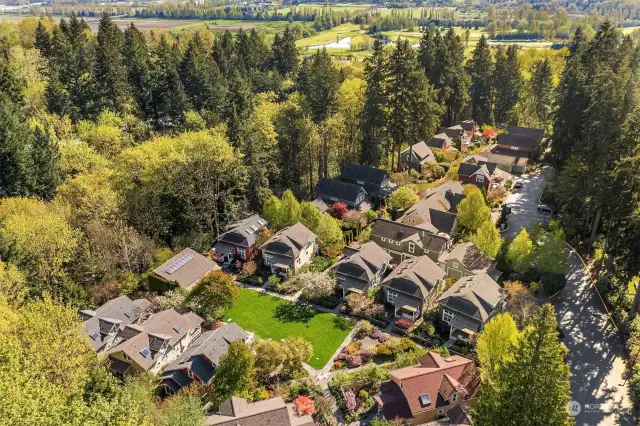 Conover Commons is a 25 home community nestled in lush a lush preserved woodland, but minutes from major Eastside employment and easy access to I-405.