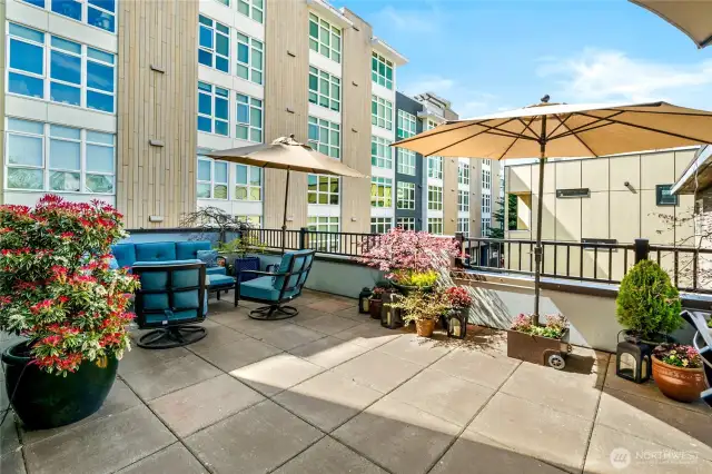 More Patio 1