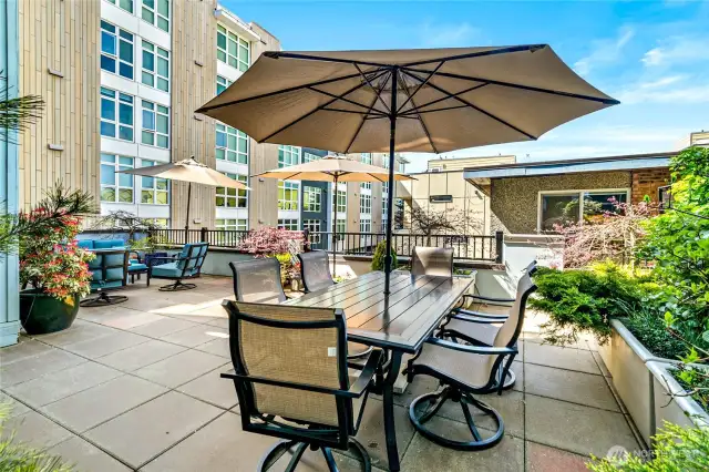 More Patio 2