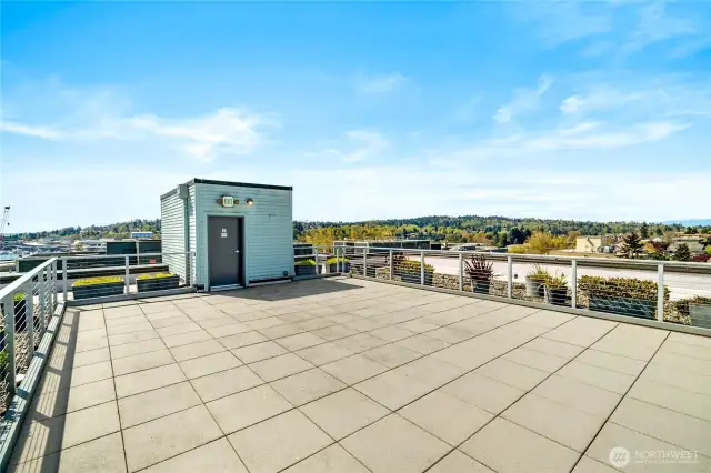 Rooftop Deck