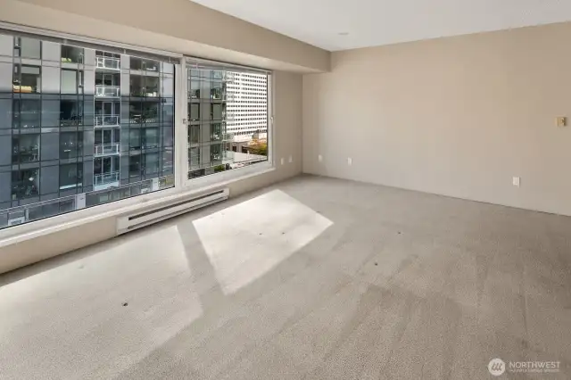 Very spacious living room.  Add hardwood floors for a dramatic look.
