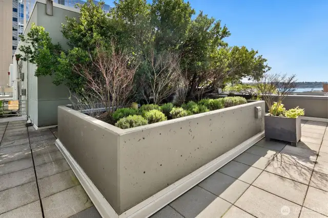 Lovely garden areas throughout the view deck.