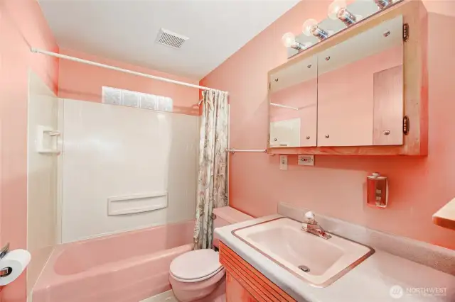 Full HALL BATHROOM  Superior original condition  Single vanity / Elgen toilet  Light blocks to allow natural light in