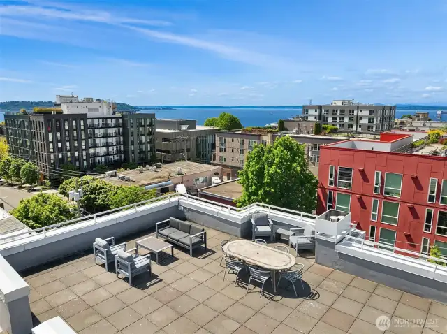 Another View from the Roof Deck