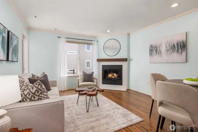 Gas Fireplace Insert