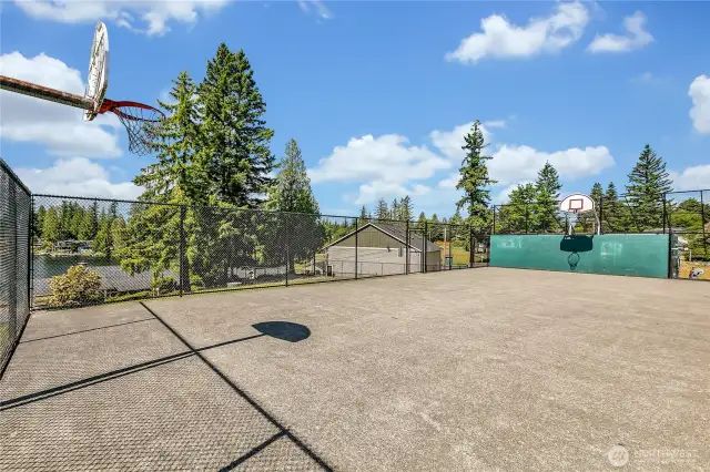 One of two sports courts available for use by the owners. This is the basketball court.