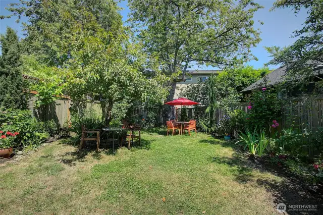 Lots of room for everyone and everything here. Want to grow your own veggies? Have a dog that needs space to run? Want to just read out in nature in a hammock? This yard is for you.