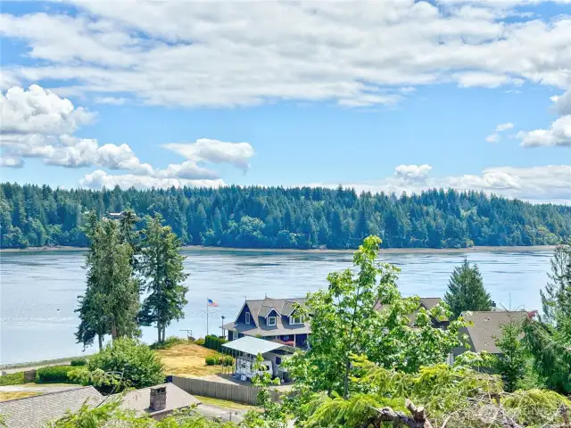Panoramic View 2