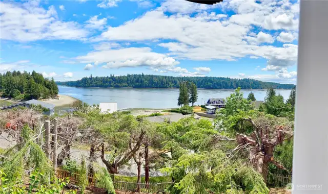 Panoramic View 3