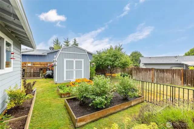 10x10 Barn shed