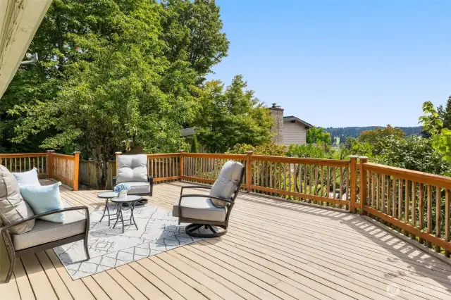 Gorgeous deck with view
