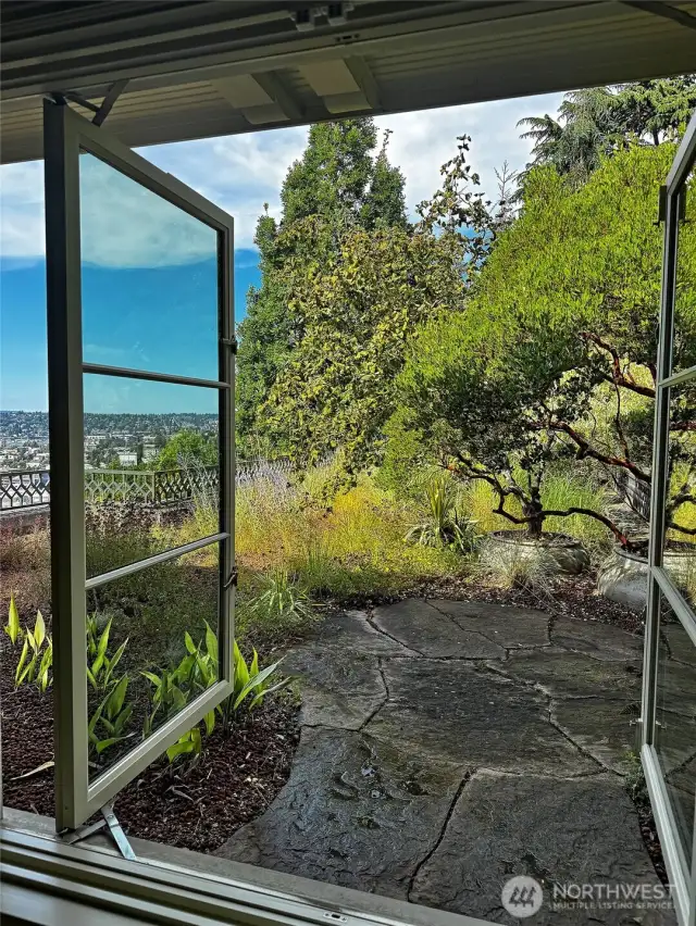 A roof top garden