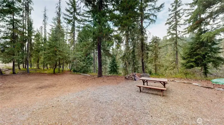 Open outdoor space with picnic table and firepit area surrounded by mature evergreens—perfect for gatherings.