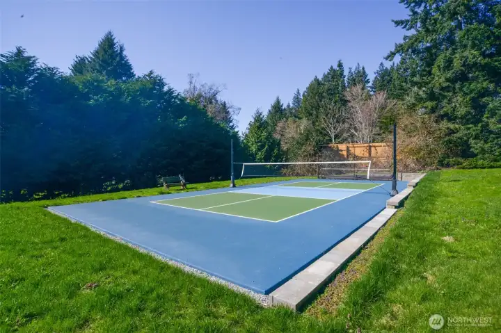 The 5-home community features a pickleball court!