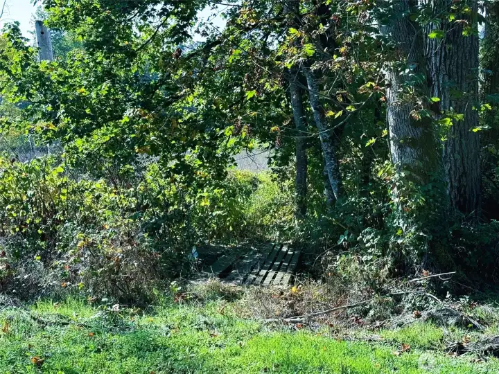 Little bridge to cross creek to back of property