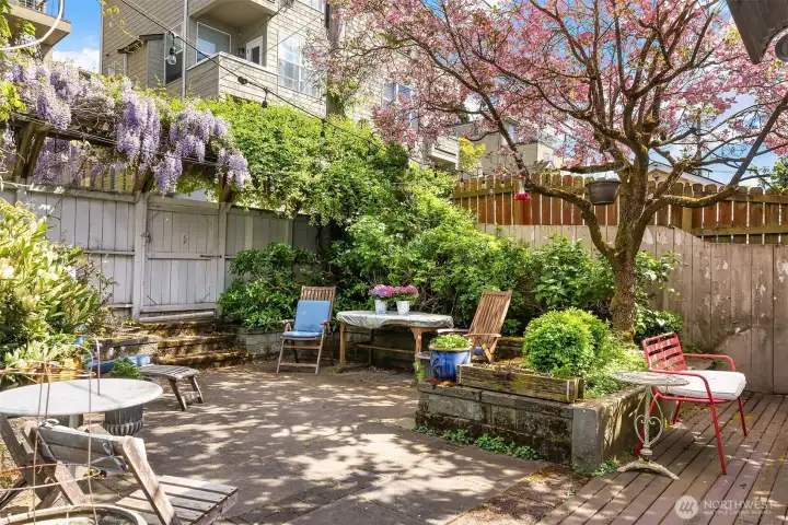 Gorgeous back patio