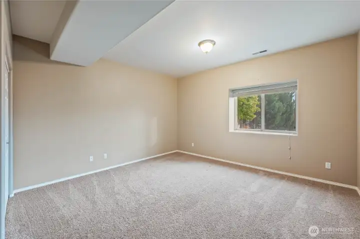 Lower level bedroom