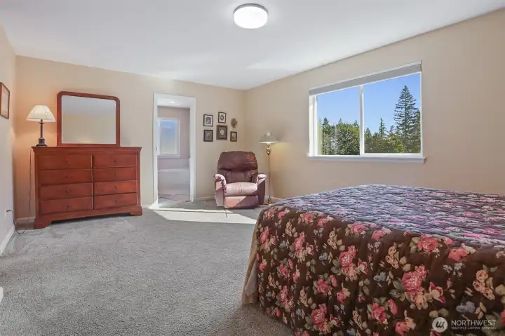 Master bedroom suite features southern exposure, Cascade Mountain views, walk in closet and 5 piece spa inspired tiled bathroom.