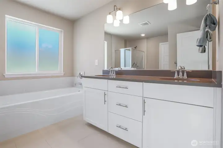 Master bedroom suite features southern exposure, Cascade Mountain views, walk in closet and 5 piece spa inspired tiled bathroom.