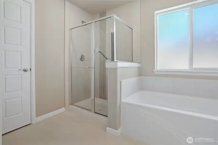 Master bedroom suite features southern exposure, Cascade Mountain views, walk in closet and 5 piece spa inspired tiled bathroom.