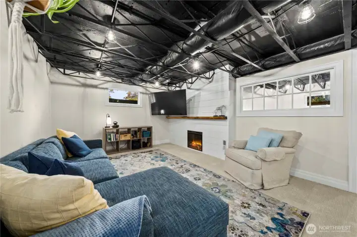 Basement living room