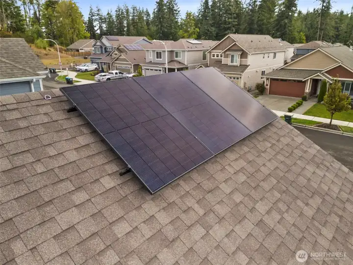 Silfab solar panels are a standard energy-efficient feature.
