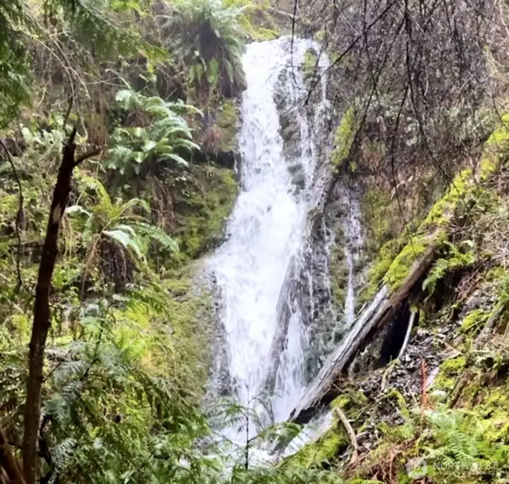 Waterfall and stream flow through the west end of the 15 acres.