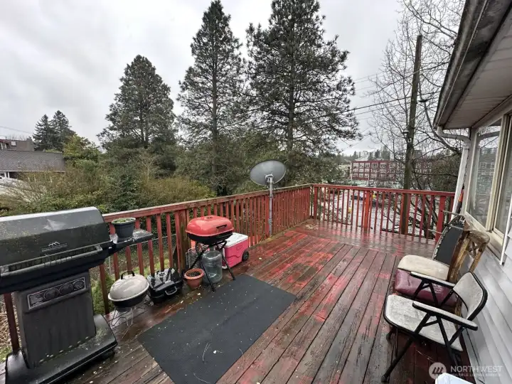 Deck Off the Kitchen