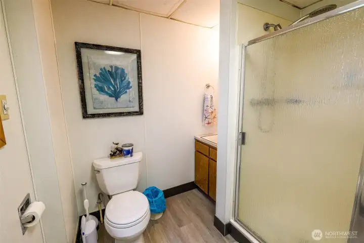 lower level bathroom.