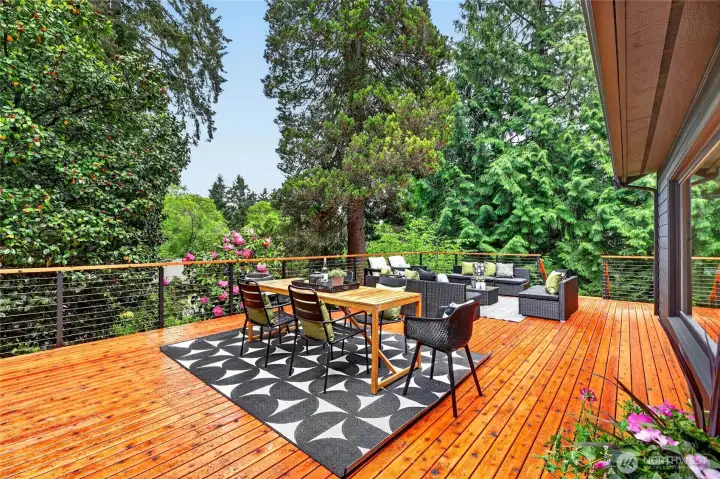 Live in the city but feel like you are in your own private oasis. Beautiful trees and foliage all around!