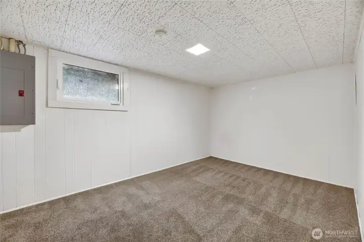 In addition to the downstairs flex space, there is a non-conforming room with a multitude of possible uses.