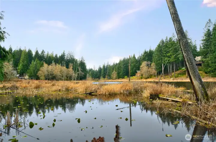 Early Spring View of Lake Rowland!