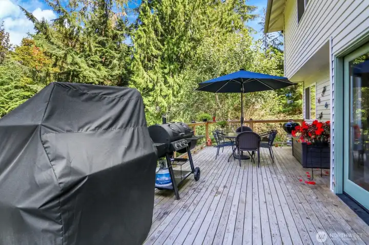 Full Size Deck from Mainfloor looking to the North