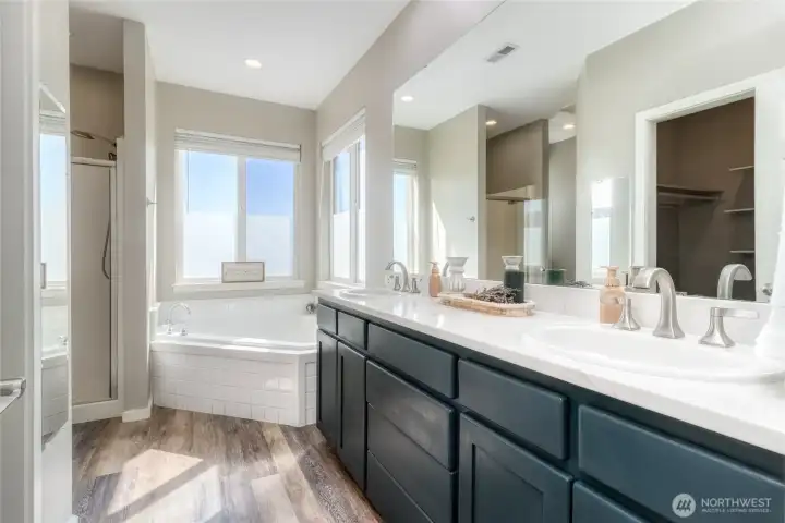 Primary bath with dual sinks