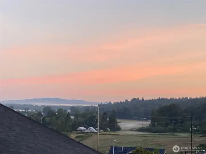 View From Master Bedroom