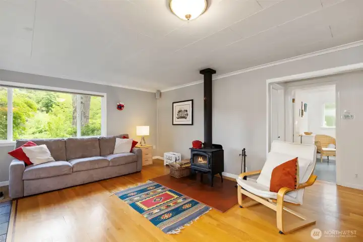 Wood stove to keep you comfortable in winter