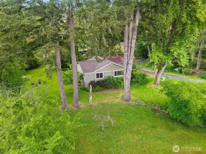 Private oasis amongst the trees