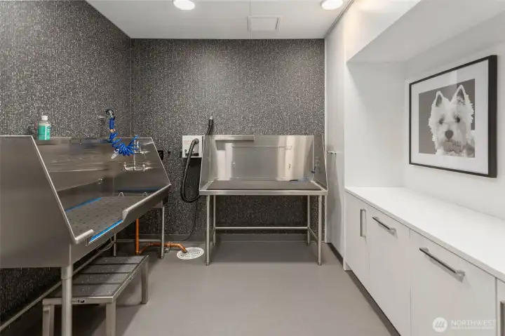 Pet grooming area.