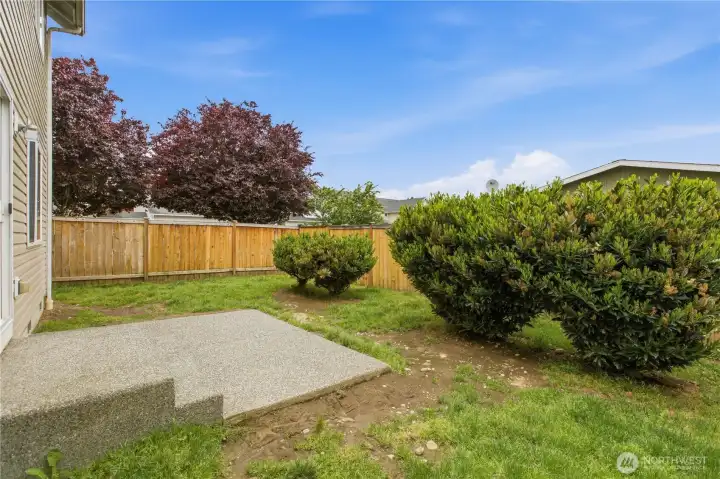 Back yard & patio