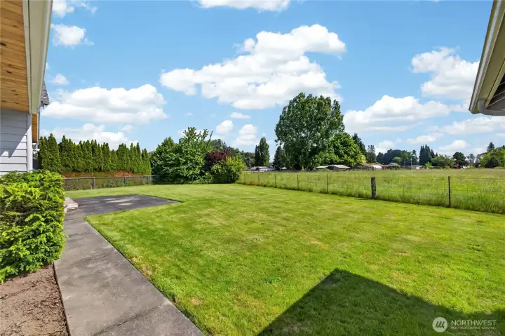 Backyard